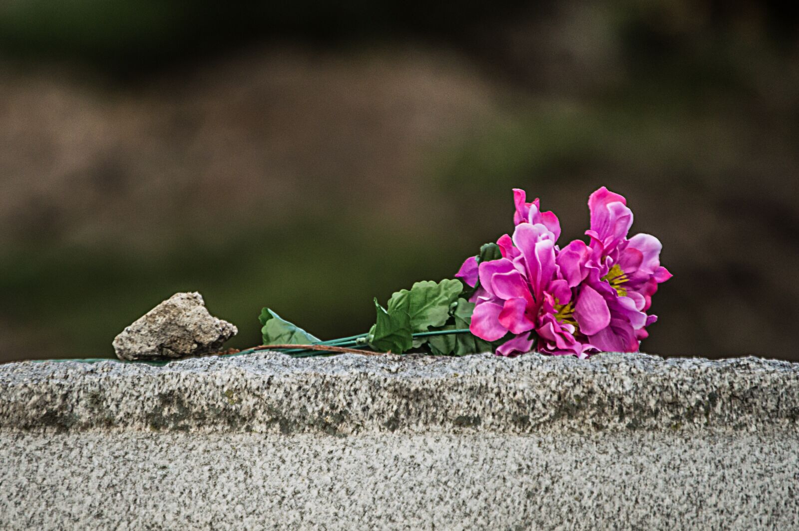 Nikon D3200 sample photo. Flower, headstone, marble photography