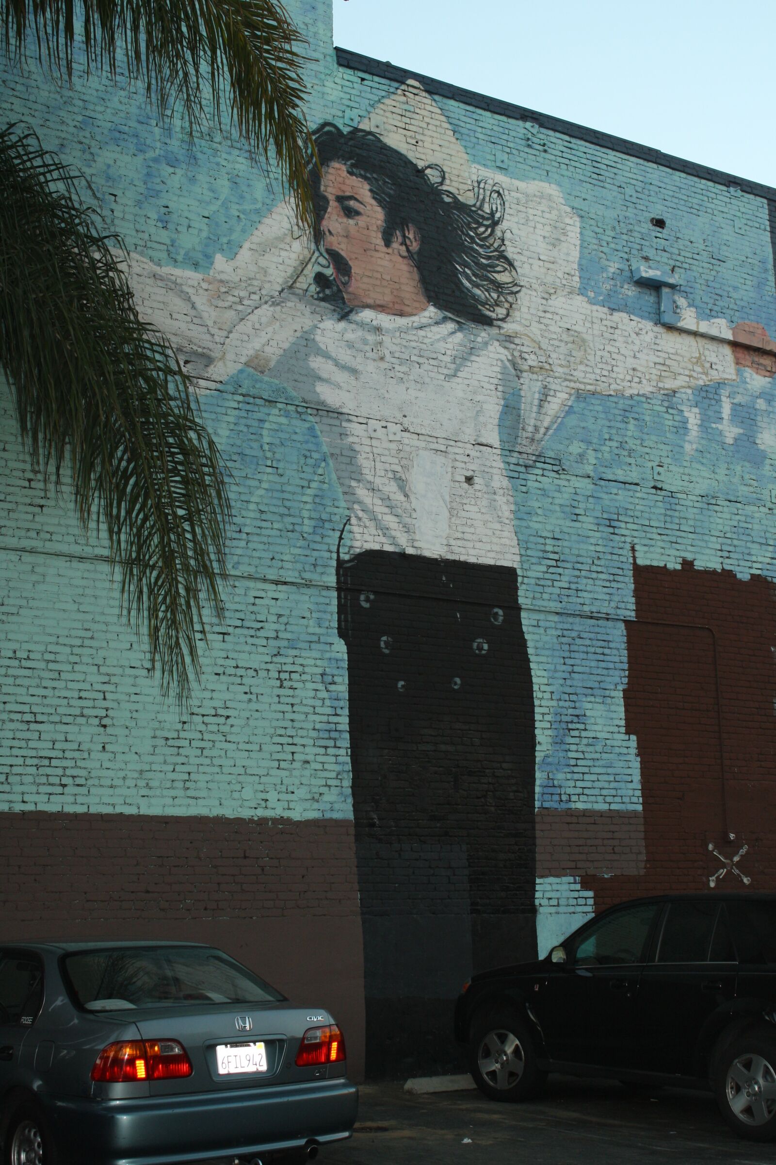Canon EOS 1000D (EOS Digital Rebel XS / EOS Kiss F) sample photo. Hollywood, california, micheal jackson photography