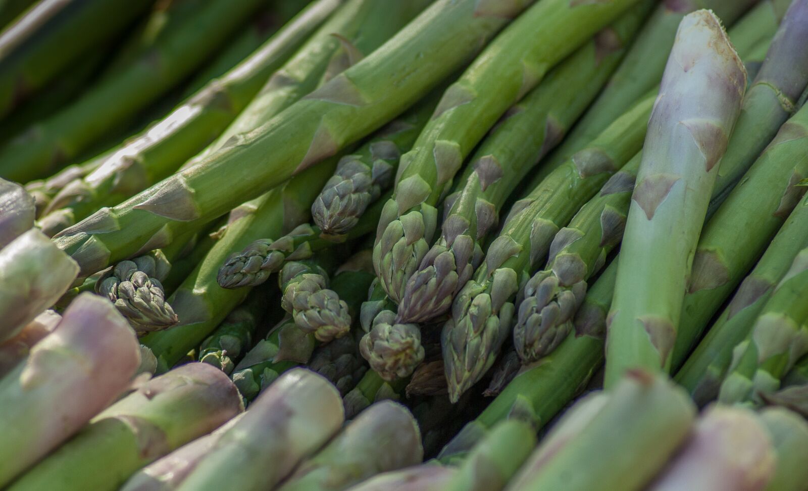 Pentax K10D sample photo. Asparagus, vegetable, market photography