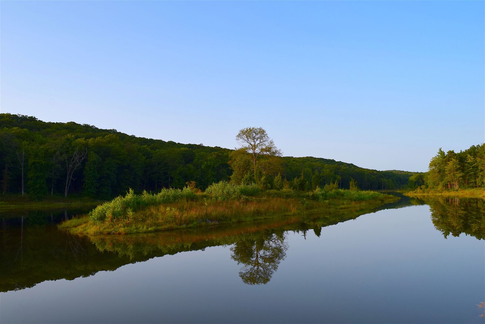 Nikon D3300 sample photo. Lake, reflection, park photography