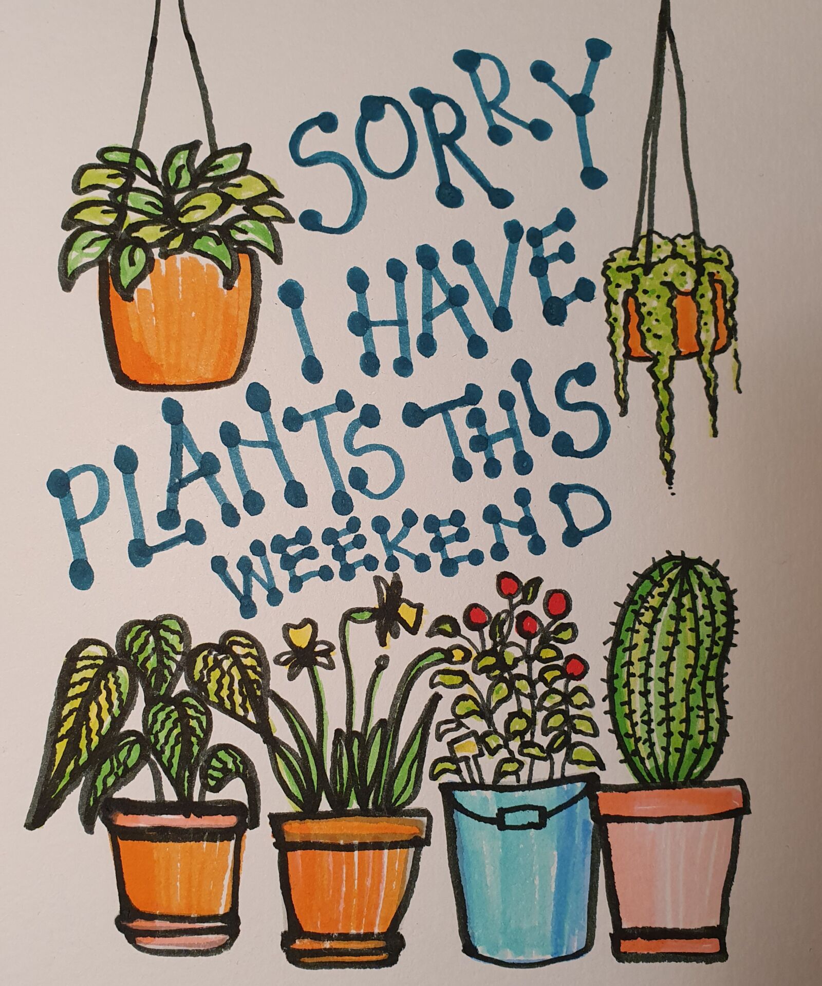 Samsung Galaxy S10 sample photo. Plants, quote, plant collection photography