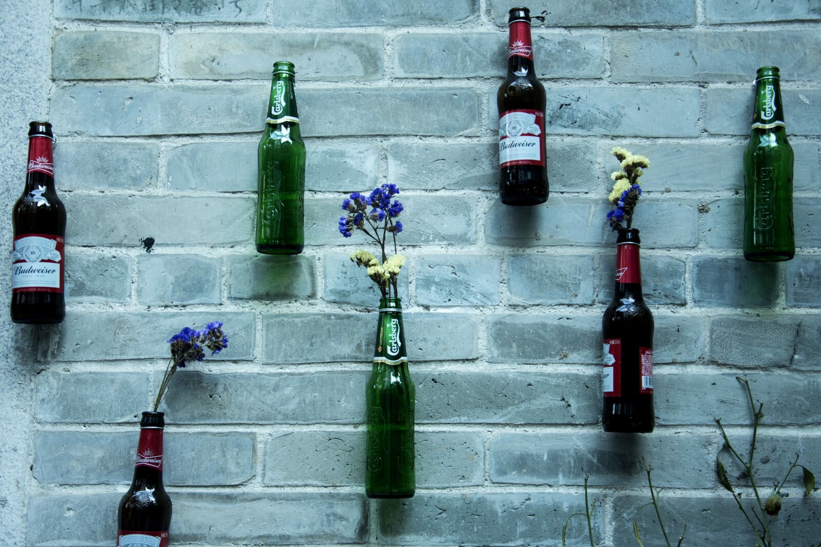 Nikon D7200 sample photo. Canton, xiao zhou, beer photography
