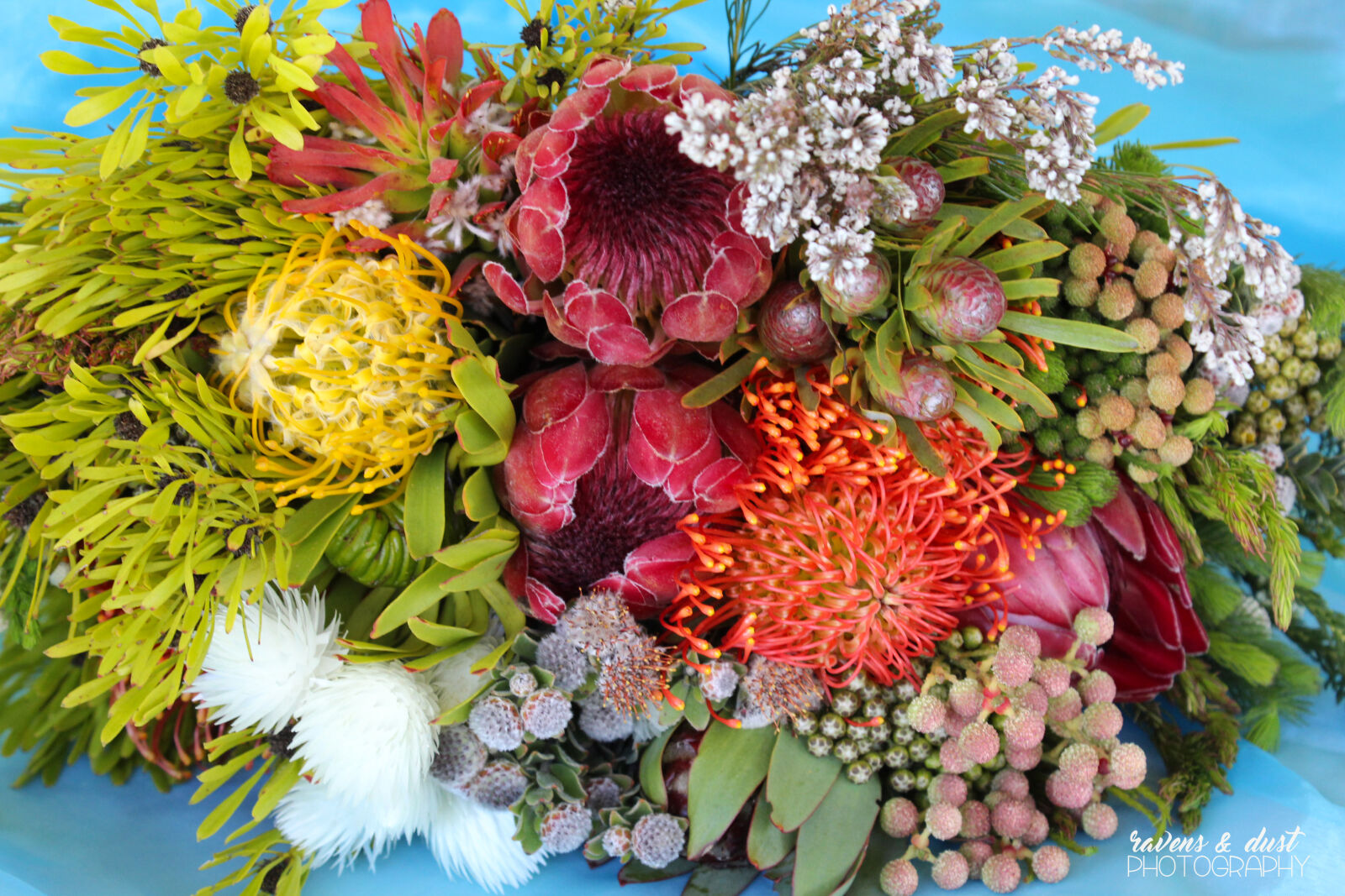 Canon EOS 600D (Rebel EOS T3i / EOS Kiss X5) sample photo. Protea, flowers, bouquet photography
