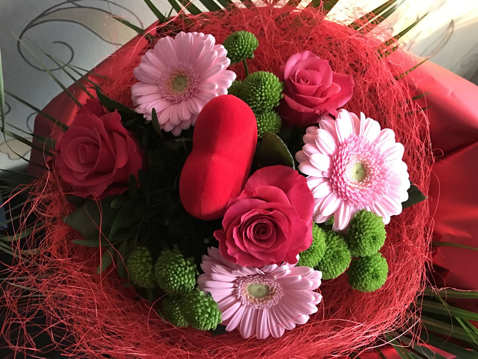 iPhone 7 back camera 3.99mm f/1.8 sample photo. Flowers, red, flower photography