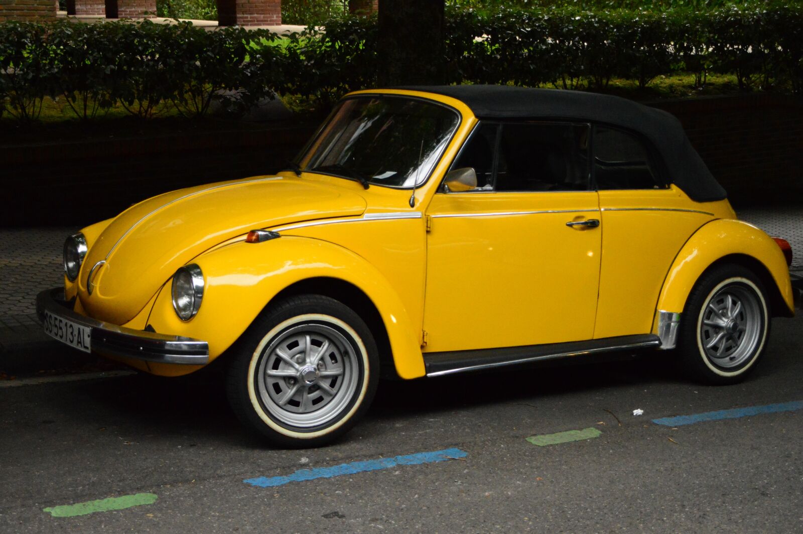 Nikon D3200 sample photo. Auto, color, yellow photography