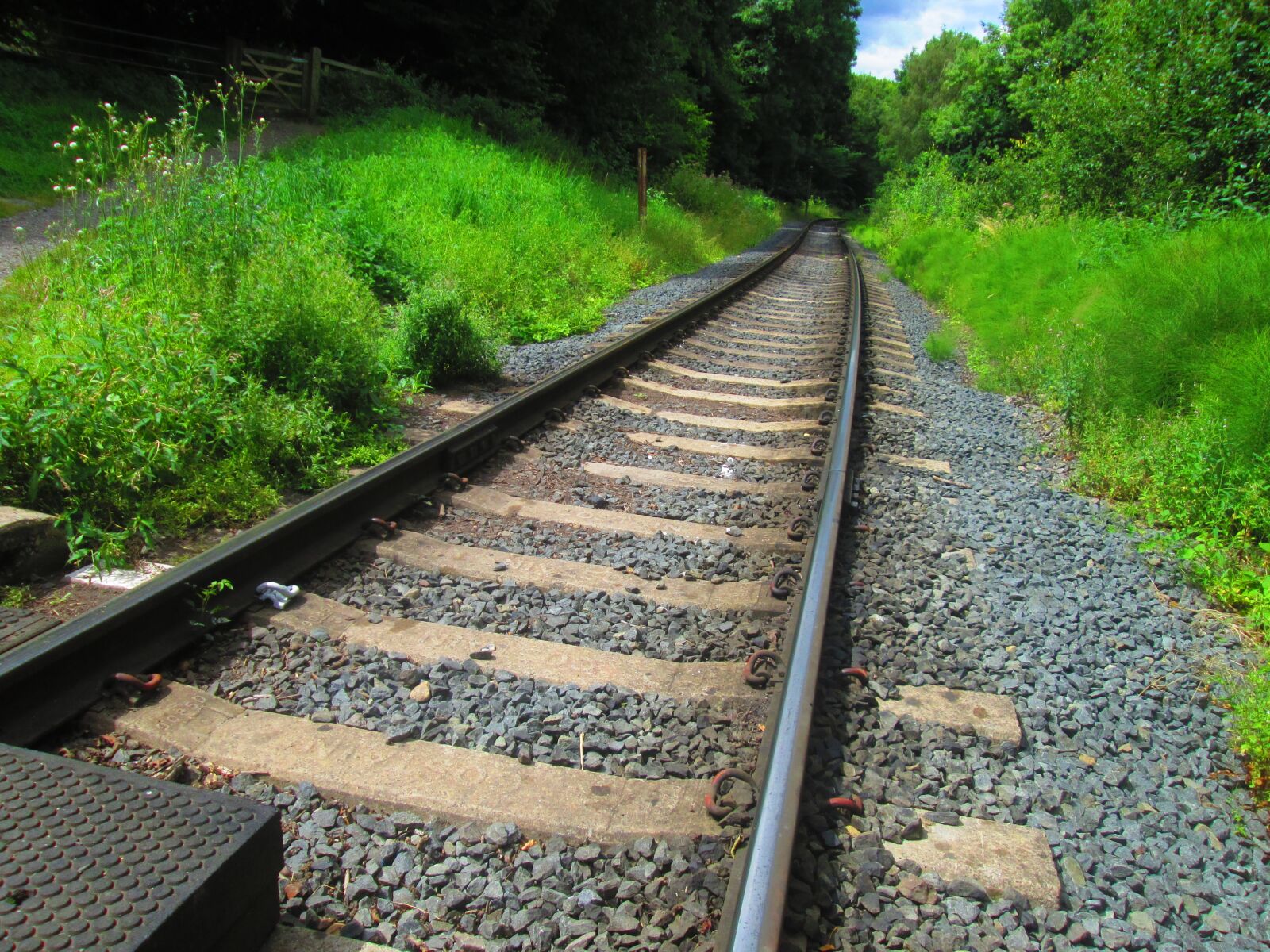 Canon PowerShot A810 sample photo. Train track, train, railroad photography