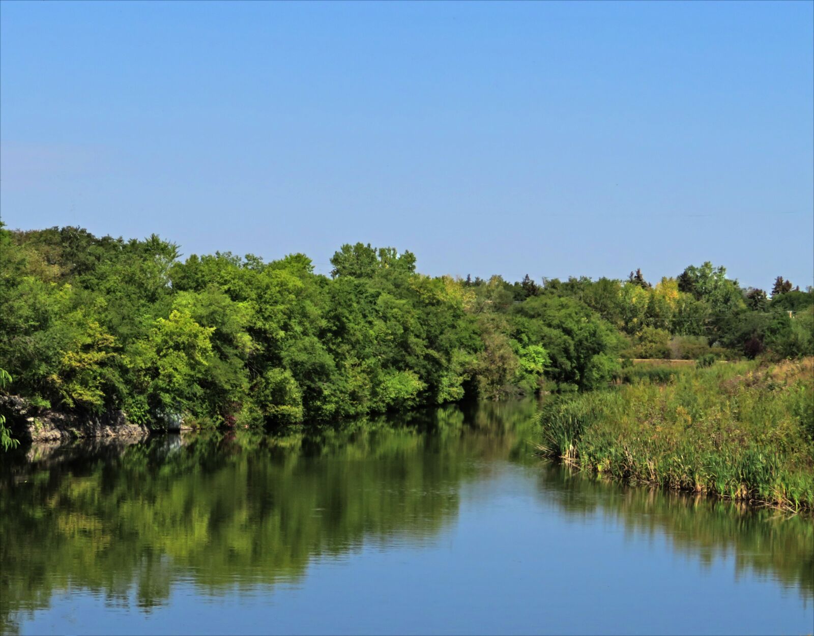 Canon PowerShot SX720 HS sample photo. Water, trees, reflection photography
