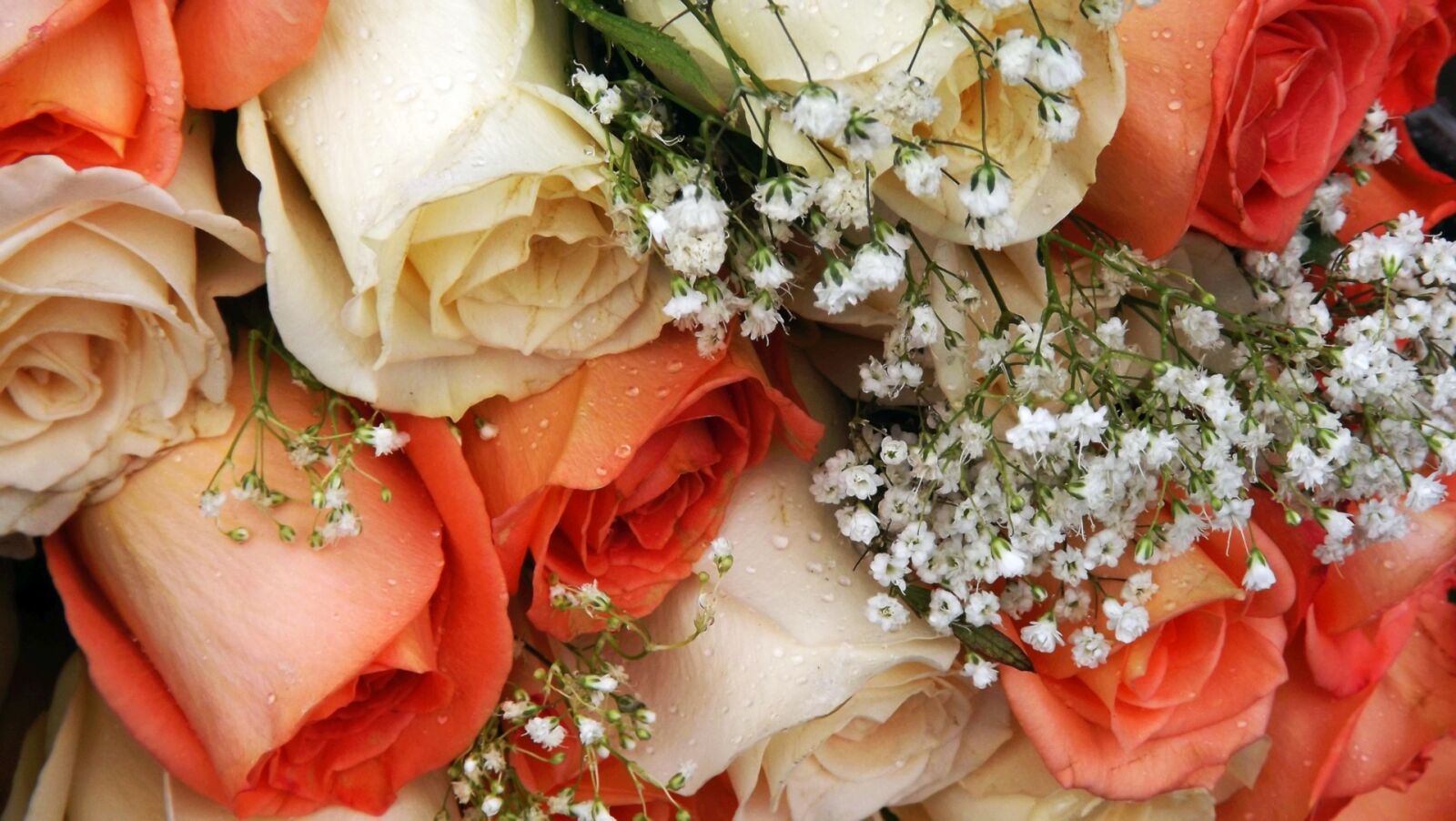 Fujifilm FinePix S3400 sample photo. Flowers, bouquet of roses photography