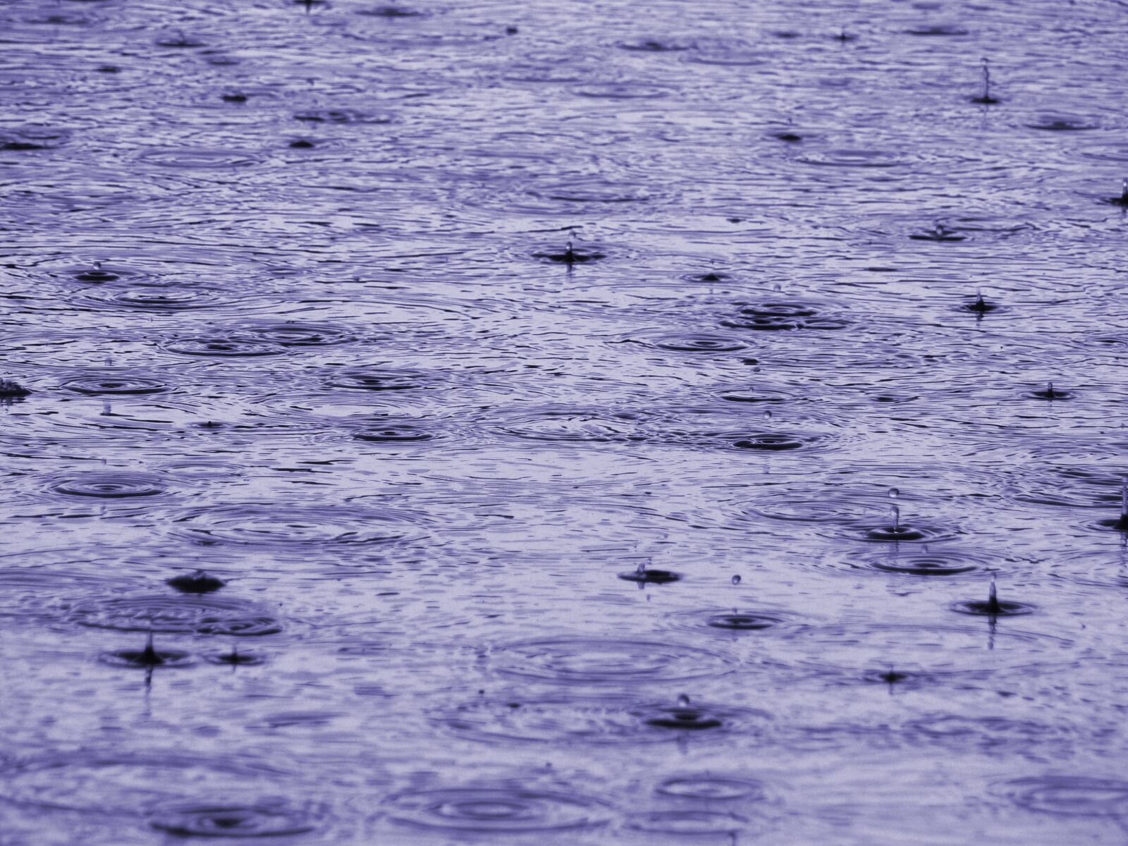 Panasonic DMC-FZ30 sample photo. Rain, background image, texture photography