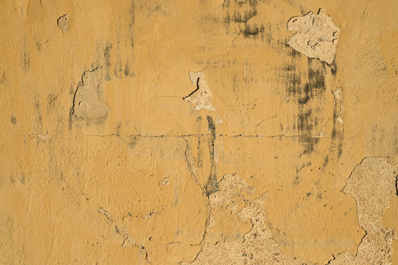 Tamron 90mm F2.8 Di III Macro VXD sample photo. Decay wall photography