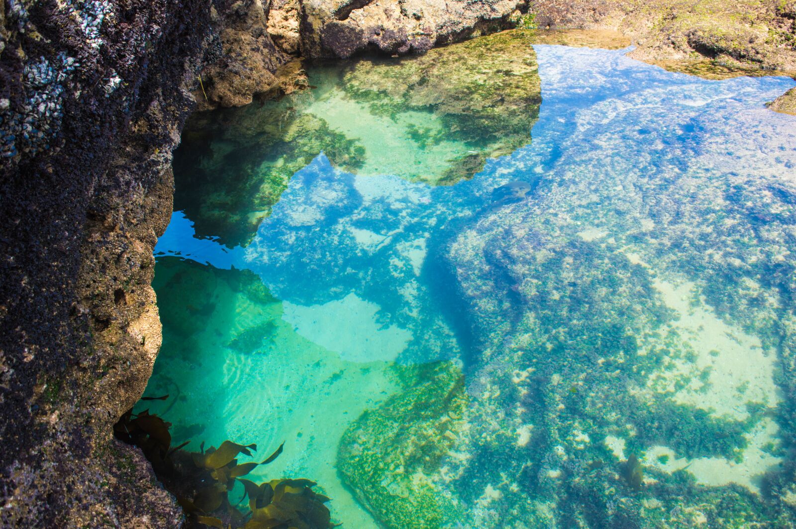 Nikon D3200 sample photo. Sea, water, life photography