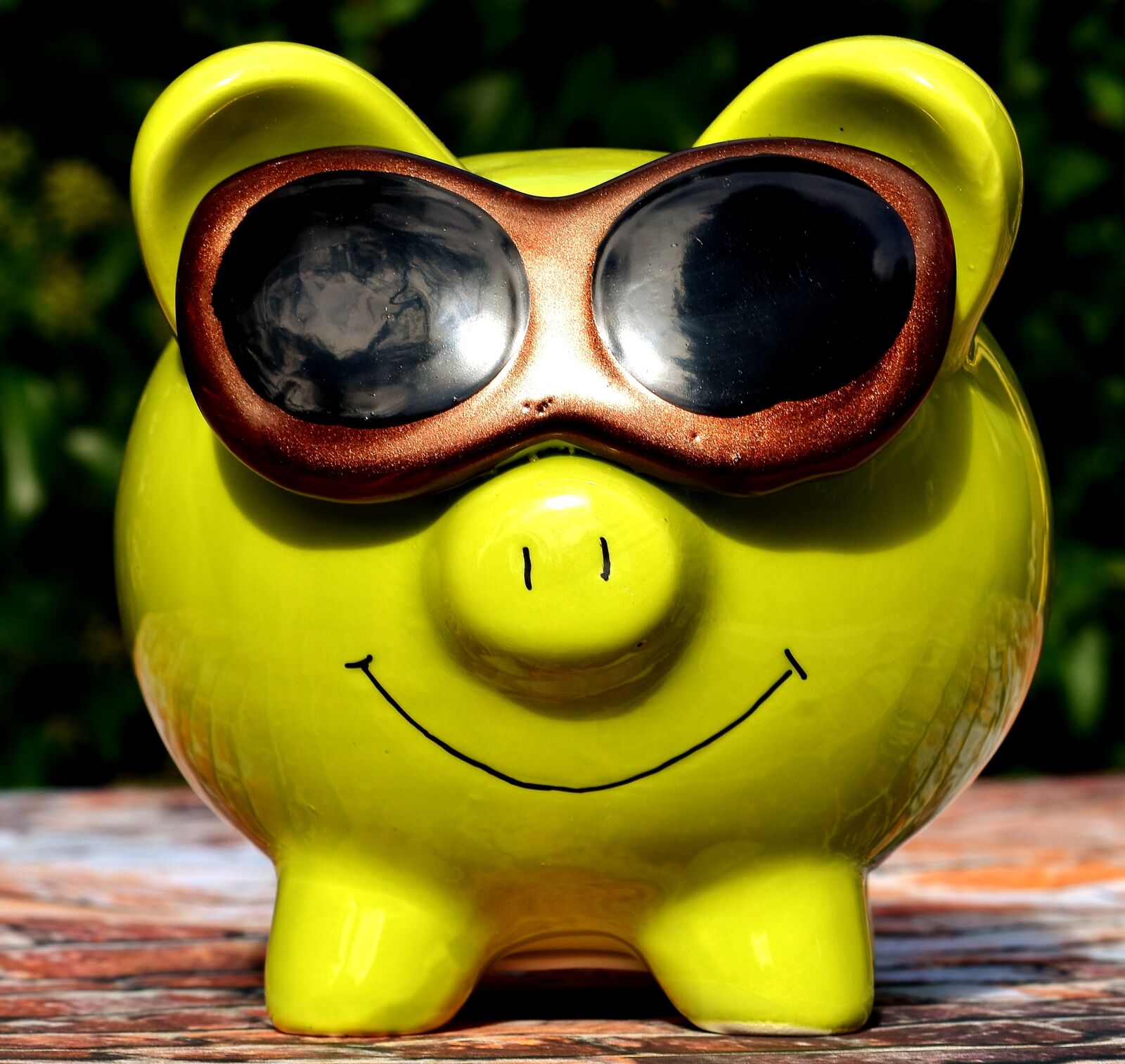 Nikon D7200 sample photo. Lucky pig, cool, sunglasses photography