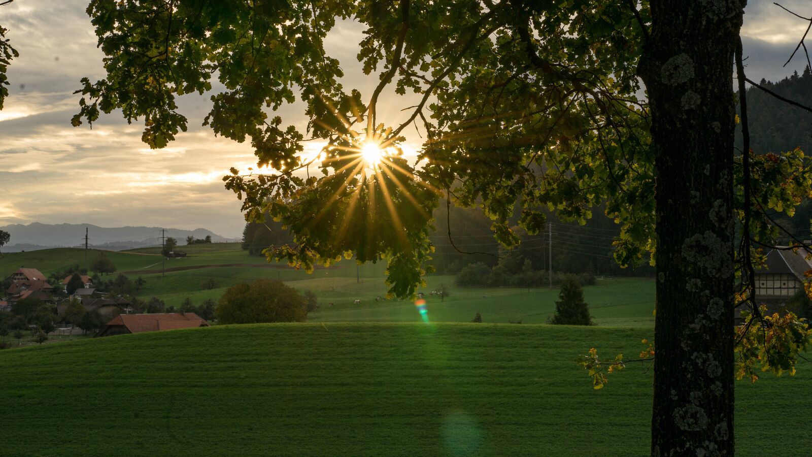 Sony a7 II + Sony FE 85mm F1.8 sample photo. Nature, landscape, sunrise photography