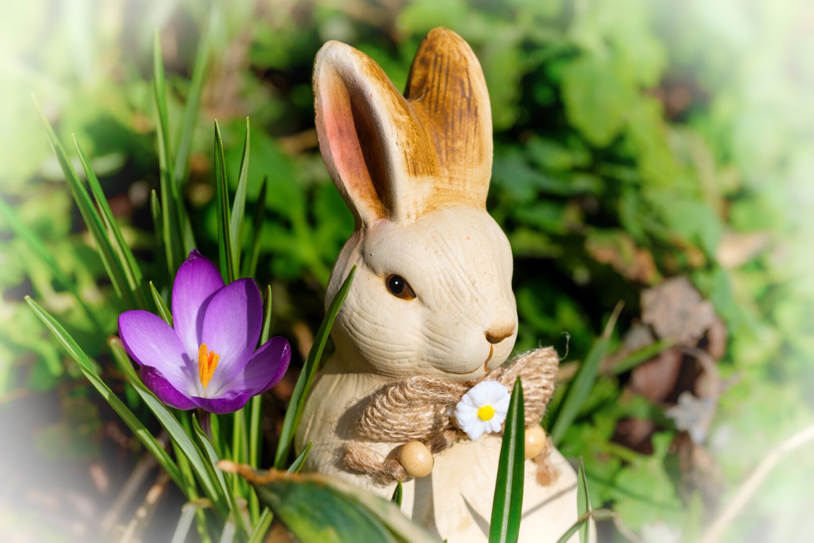 Fujifilm X-T2 + Fujifilm XF 80mm F2.8 R LM OIS WR Macro sample photo. Hare, easter bunny, easter photography