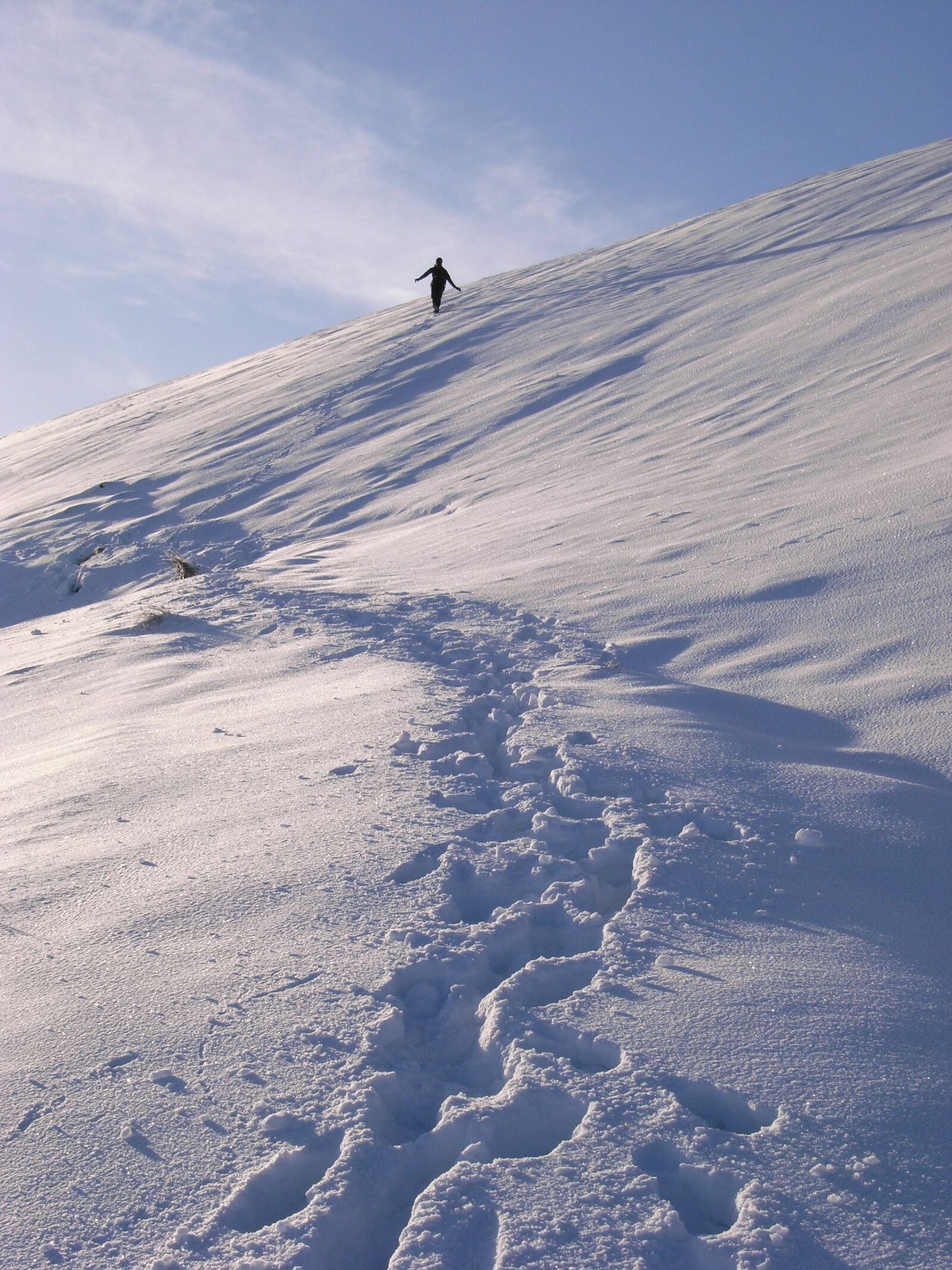 Ricoh Caplio R5 sample photo. Snow, footprints, alone photography