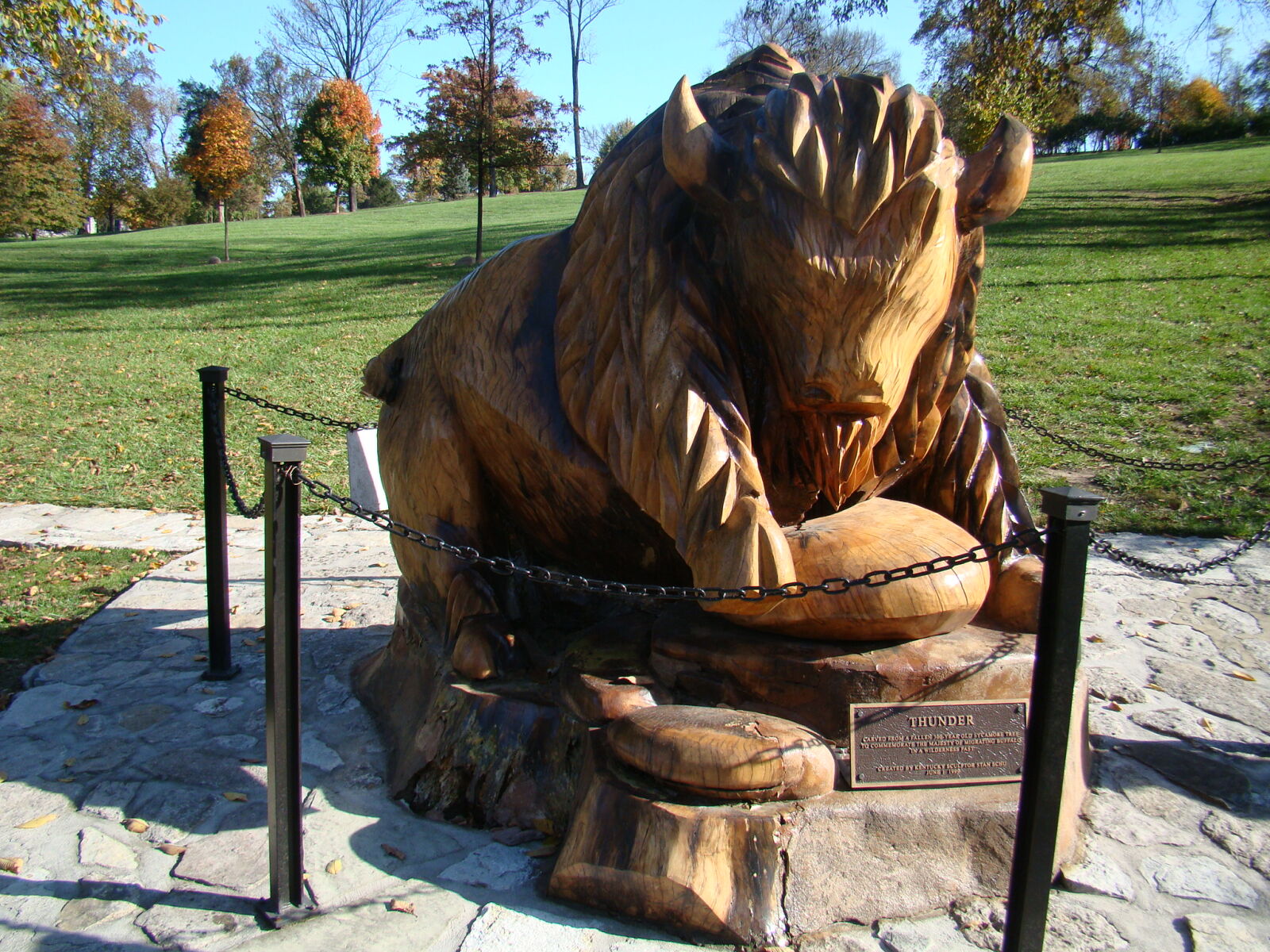 Sony Cyber-shot DSC-H50 sample photo. Buffalo, trace photography
