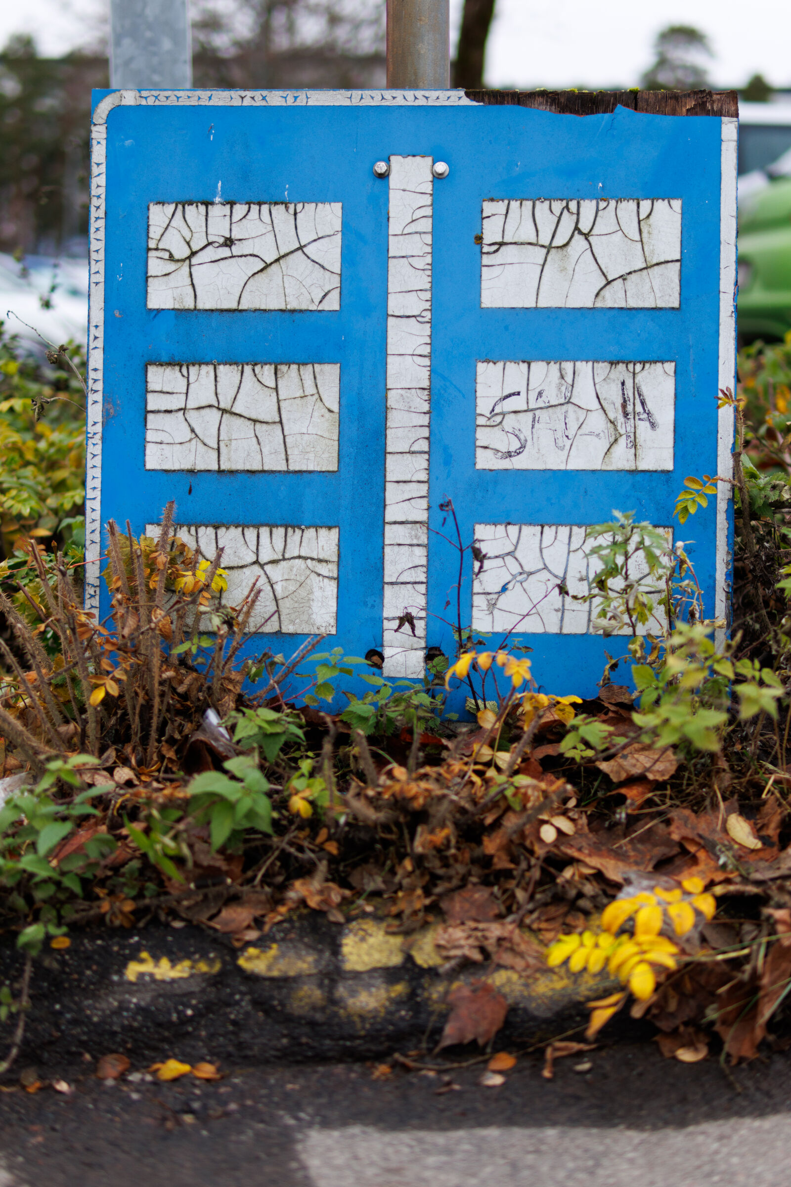 Sigma 30mm F1.4 DC DN | C sample photo. Parking spot photography