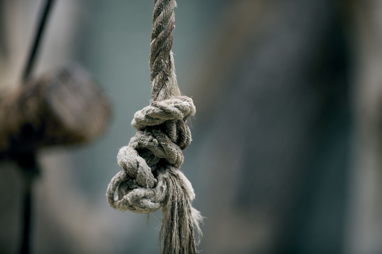 Canon EF 135mm F2L USM sample photo. Knot, rope, background photography