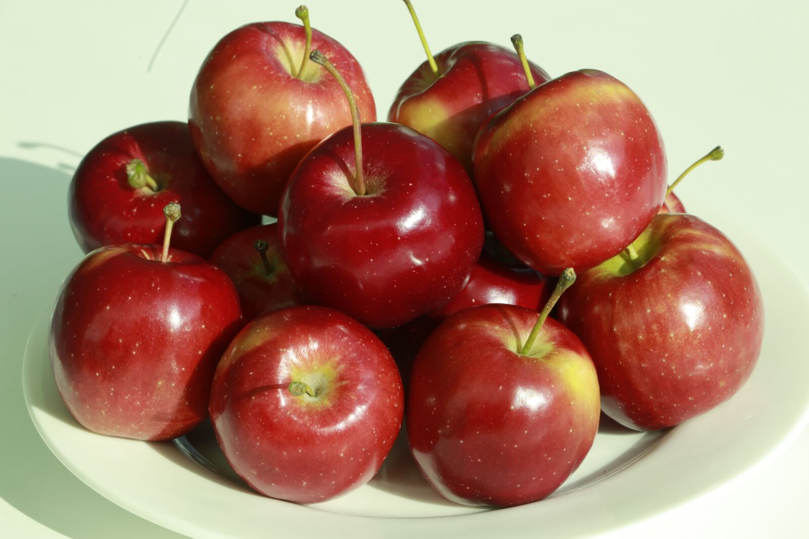 Canon EOS 5D Mark III sample photo. Apple, apple and, fruit photography