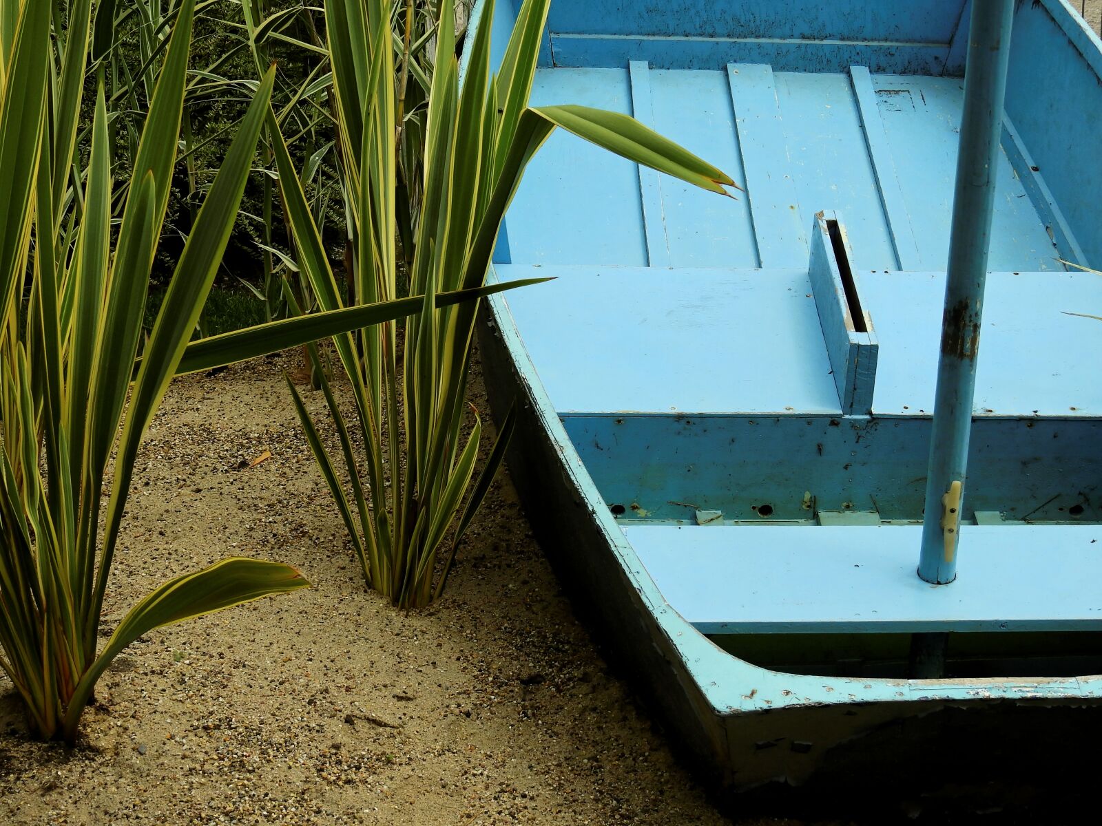 Nikon Coolpix P900 sample photo. Boat, ship, reed photography