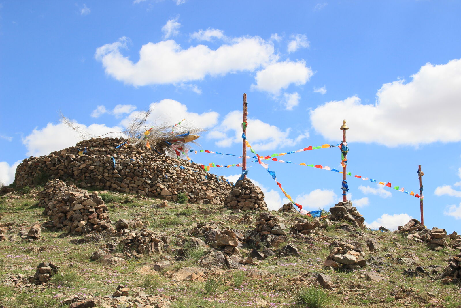 Canon EOS 600D (Rebel EOS T3i / EOS Kiss X5) sample photo. Ovoo photography