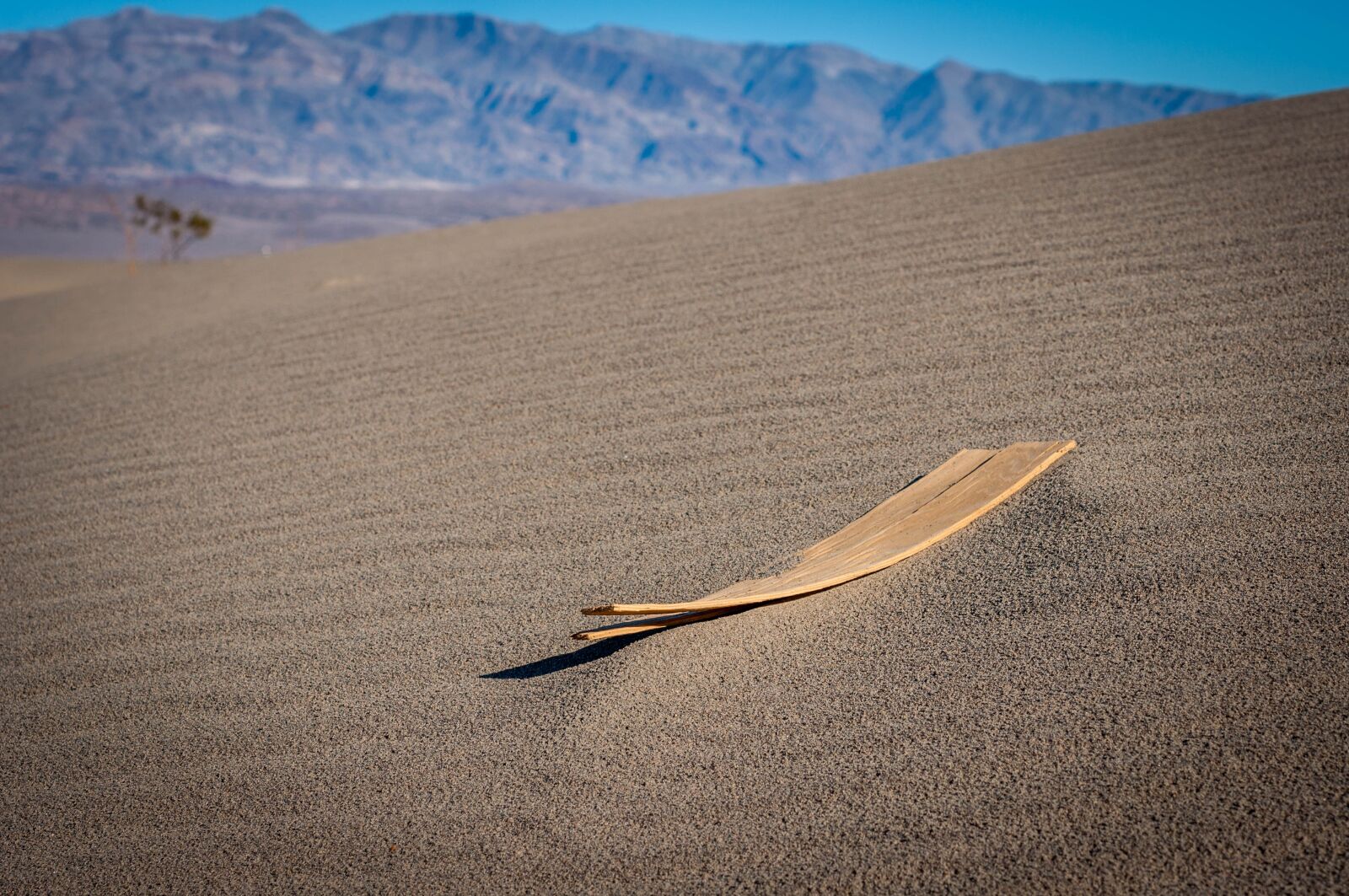 Nikon D90 sample photo. Sand, wood, desert photography