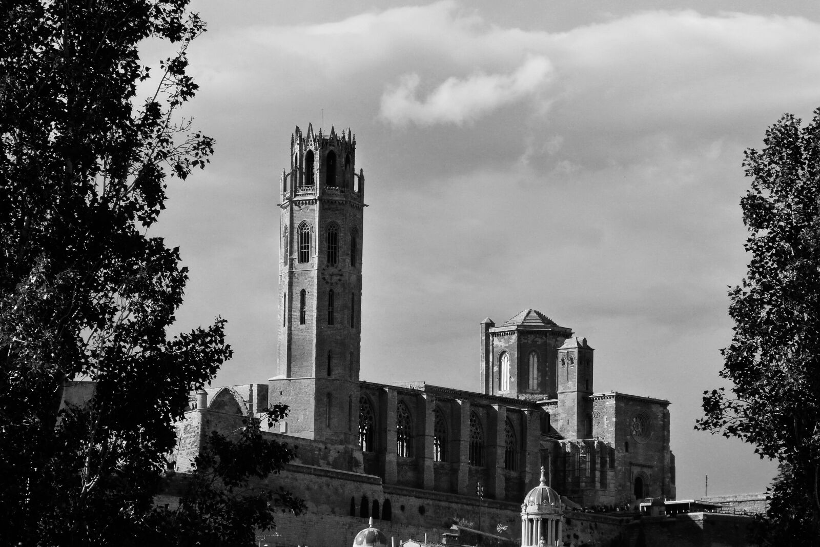 Panasonic Lumix DMC-FZ40 (Lumix DMC-FZ45) sample photo. The seu vella, cathedral photography