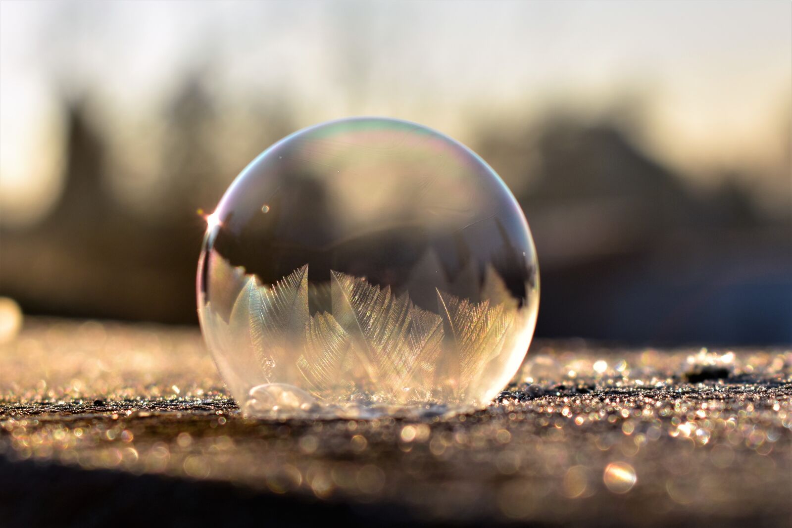 Nikon D5500 sample photo. Soap bubble, frozen, eiskristalle photography