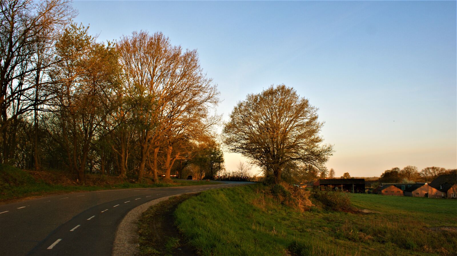 Sony Alpha DSLR-A350 sample photo. Road, morning, landscape photography