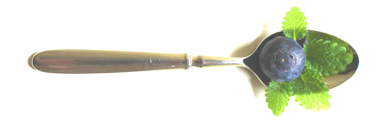 Canon EOS 700D (EOS Rebel T5i / EOS Kiss X7i) sample photo. Spoon, blaudeeren, teaspoon photography