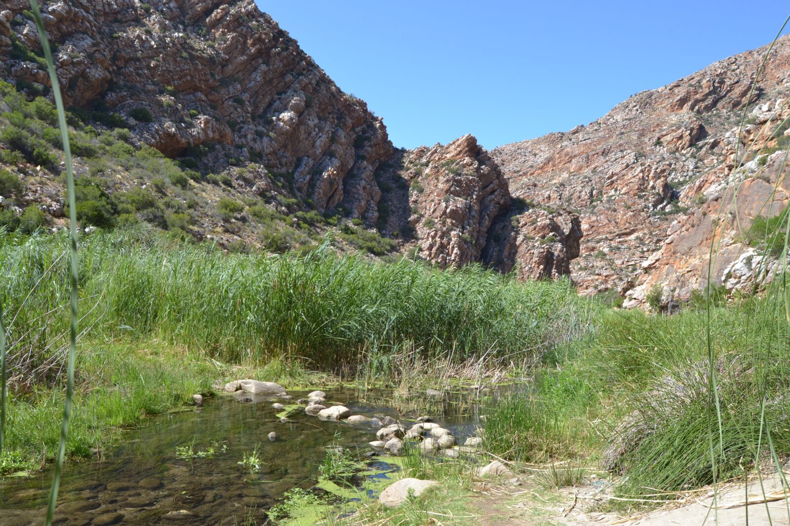 Nikon D3100 sample photo. Into, the, valley photography