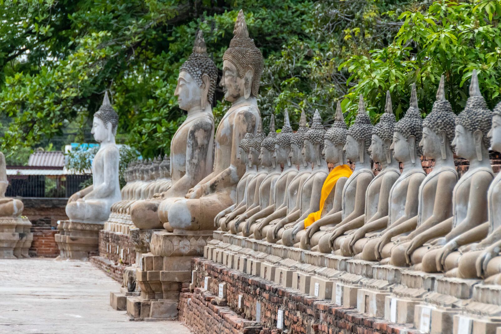 Nikon D5600 sample photo. Buddha, temple, rocks photography