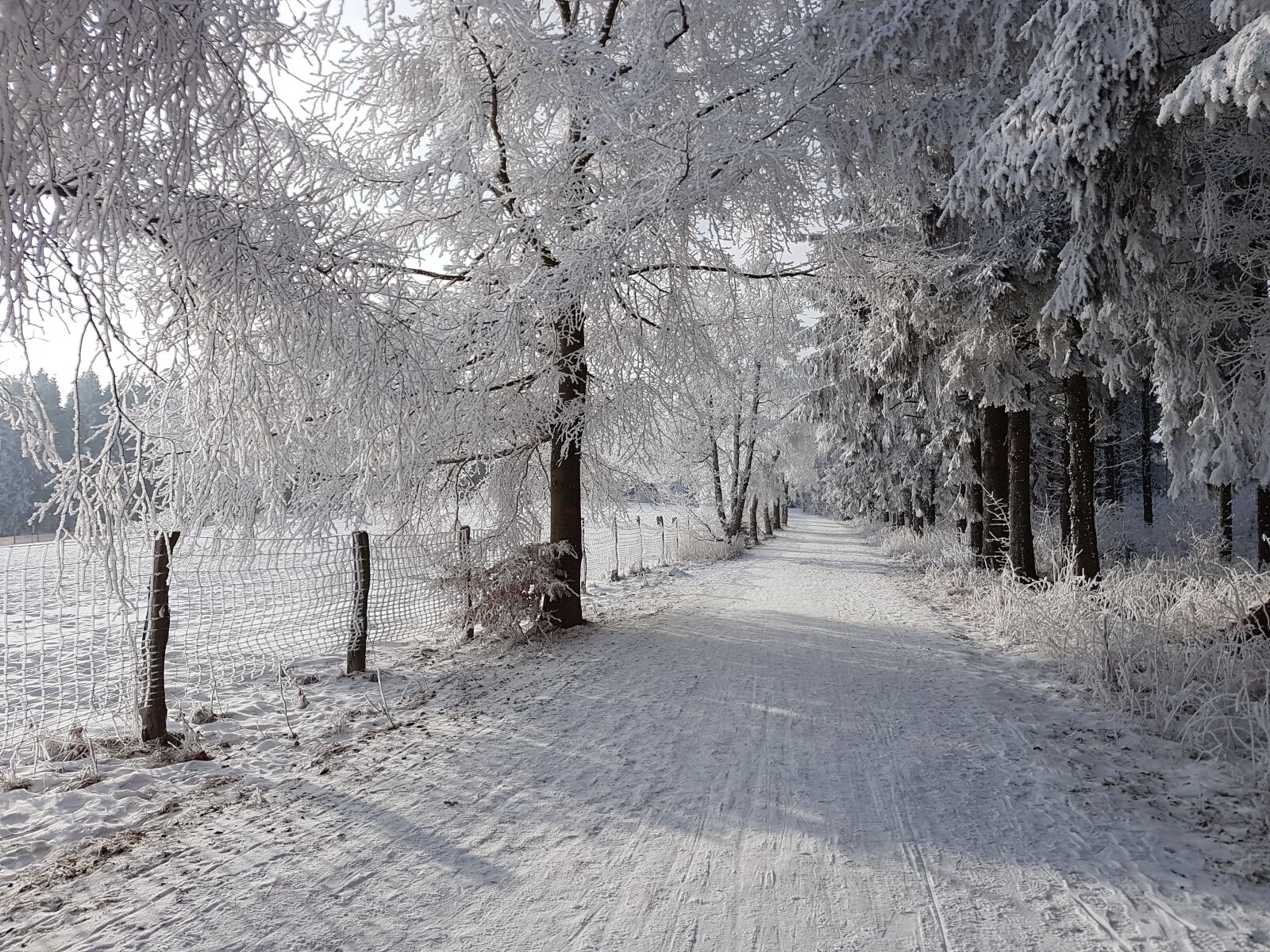 Samsung Galaxy S7 Edge sample photo. Winter, snow, winterberg photography