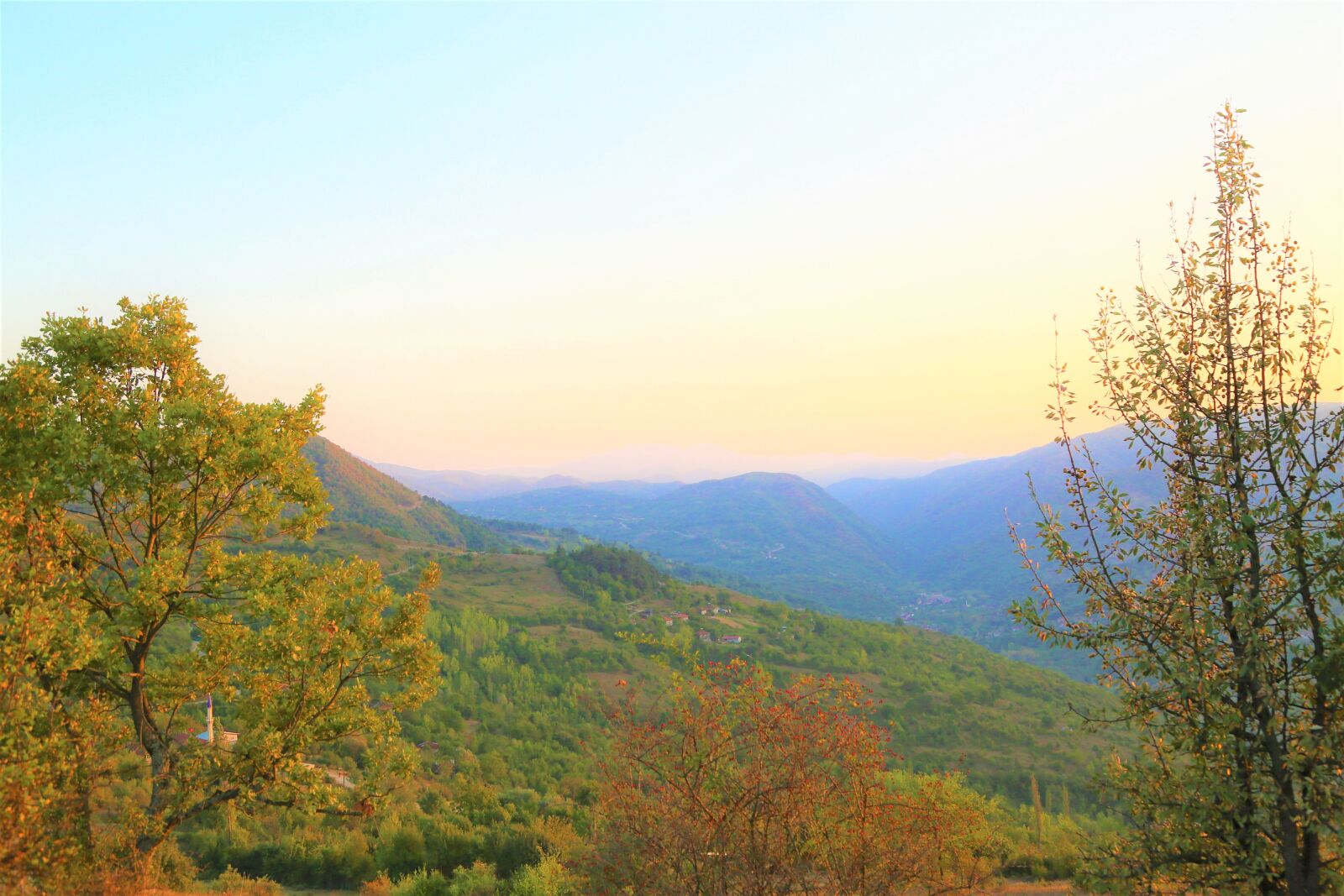 Canon EF 24-105mm F4L IS USM sample photo. Landscape, nature, forest photography