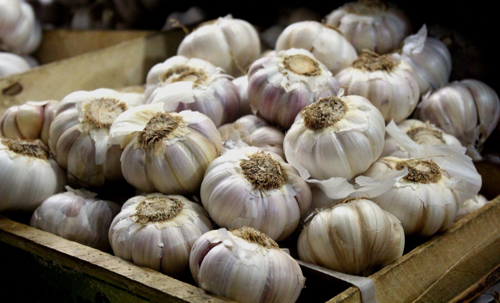 Canon EOS 600D (Rebel EOS T3i / EOS Kiss X5) sample photo. Garlic, market, vegetables photography