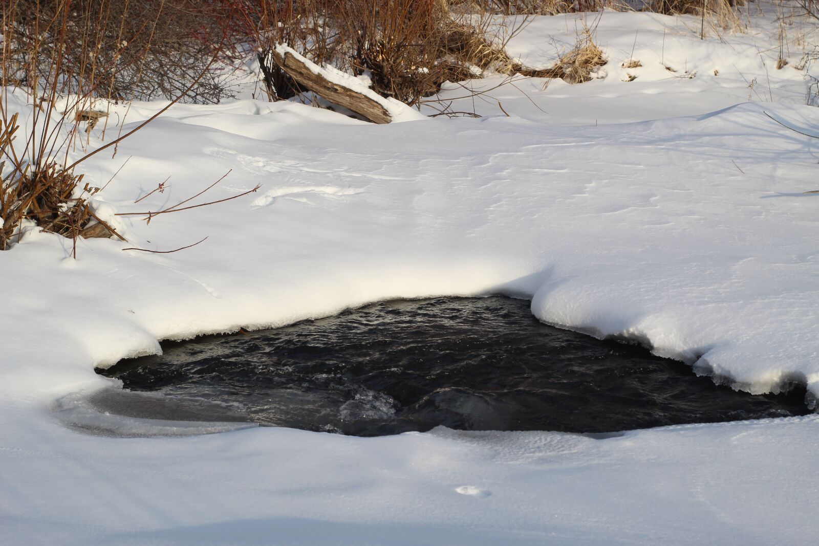 Canon EOS 4000D (EOS Rebel T100 / EOS 3000D) sample photo. River, water, winter photography