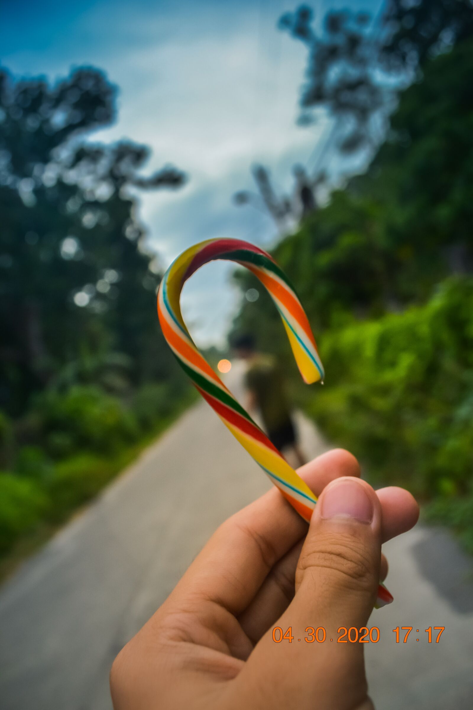 Nikon D3100 sample photo. Candy cane, candy, cane photography
