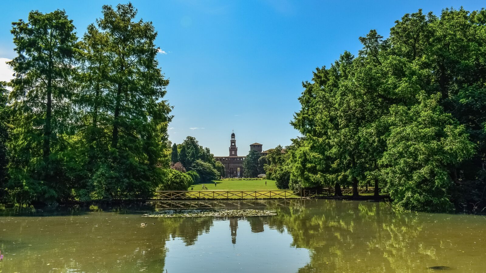 Nikon D3300 sample photo. Park, lake, forest photography