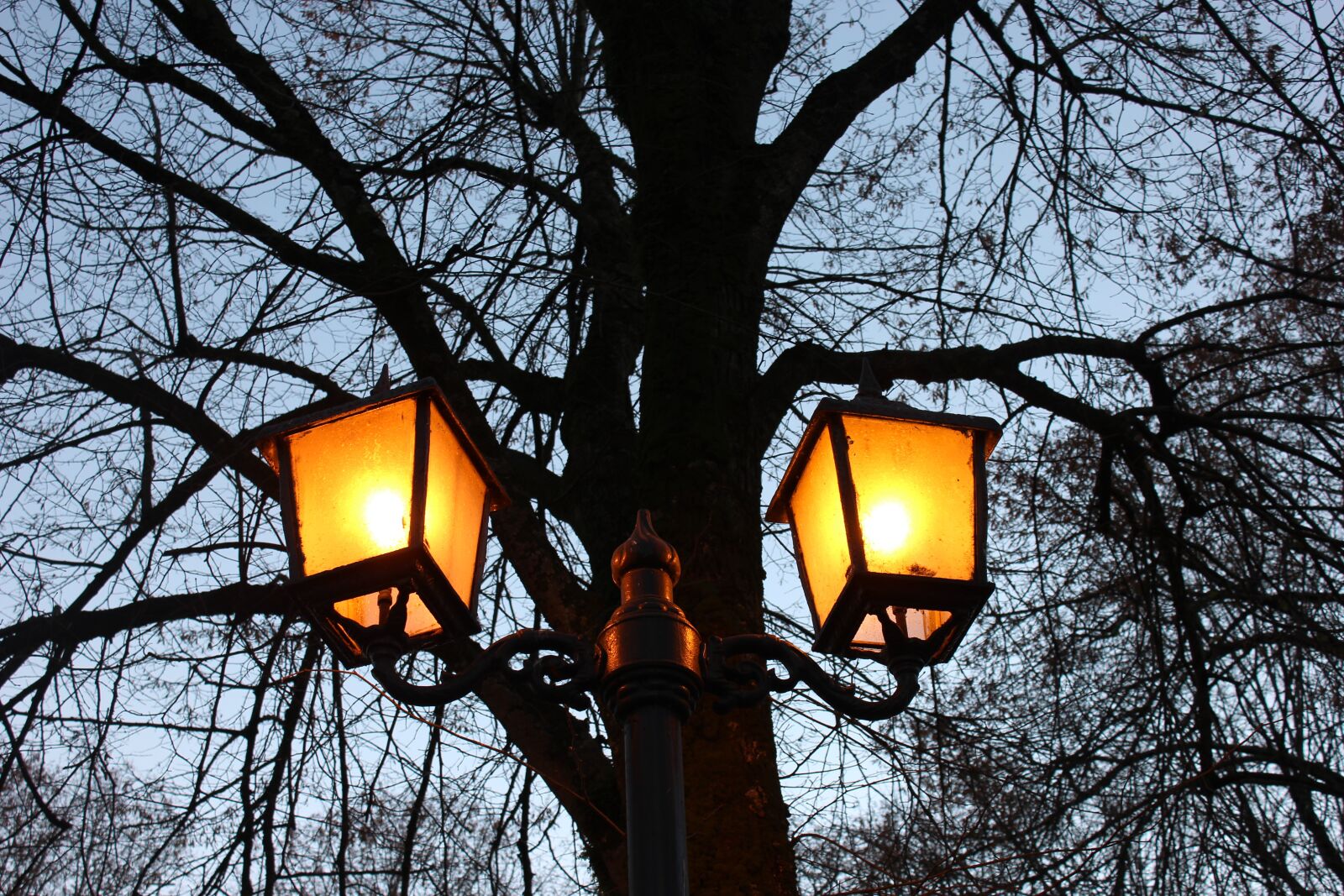 Canon EOS 1200D (EOS Rebel T5 / EOS Kiss X70 / EOS Hi) sample photo. Light, city, night photography