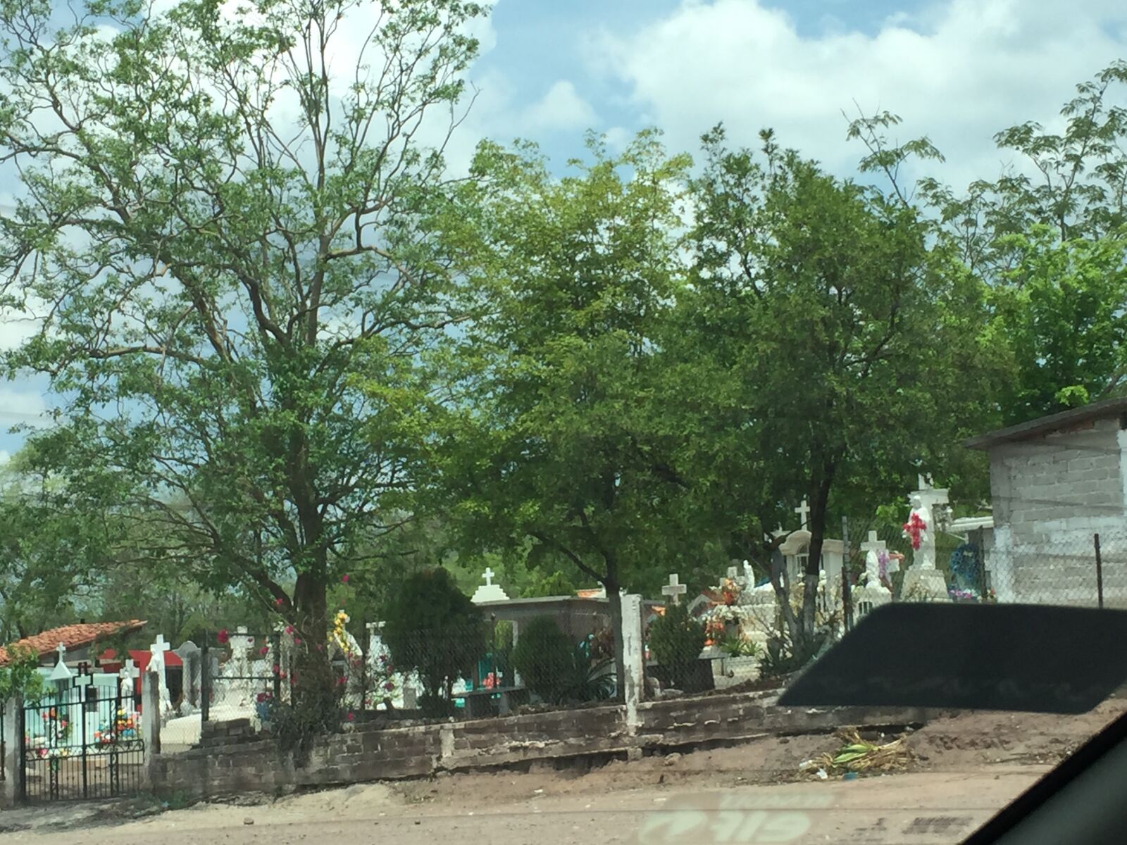 Apple iPhone 6 sample photo. Cemetery photography