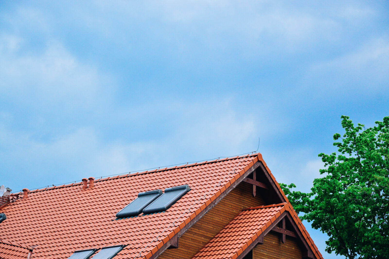 Nikon D3200 sample photo. Roof, sky, tree photography