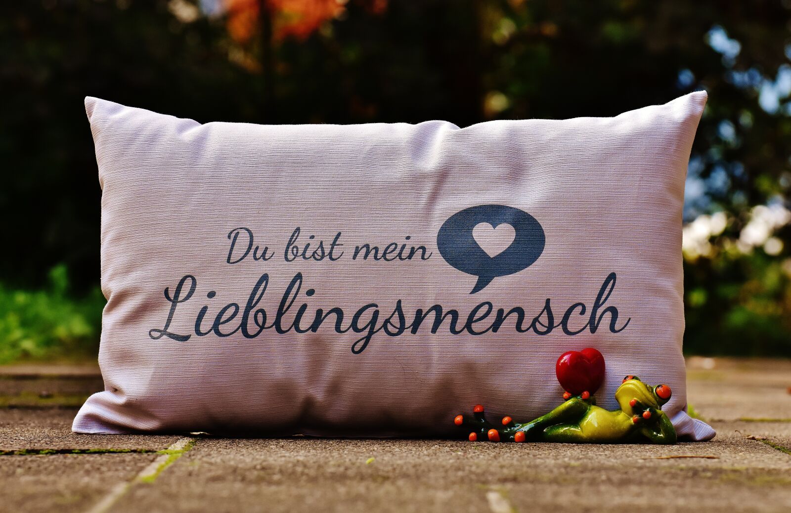 Nikon D7200 sample photo. Pillow, love, heart photography