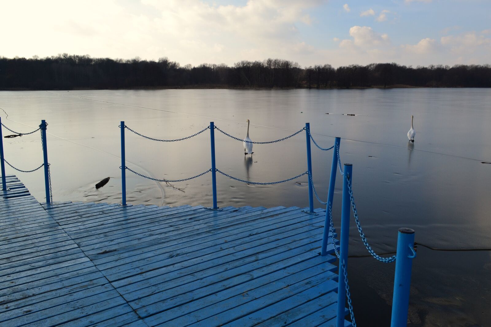 Nikon D3100 sample photo. Winter, ice, frozen photography