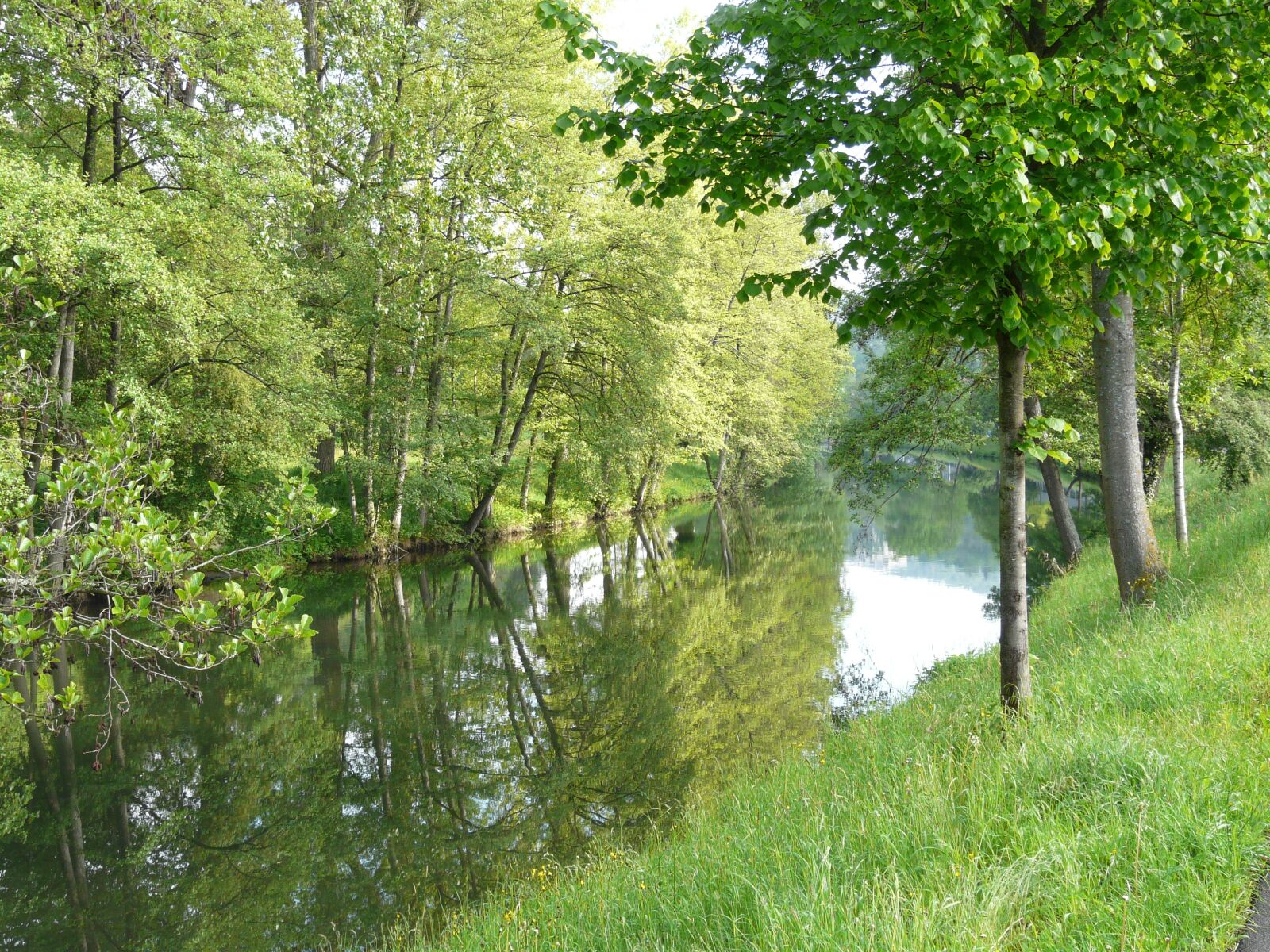 Panasonic DMC-FZ18 sample photo. River, idyll, nagold photography