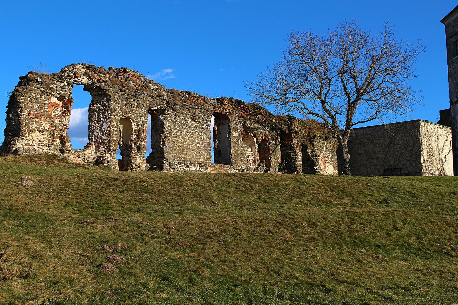 Canon EOS 100D (EOS Rebel SL1 / EOS Kiss X7) sample photo. Castle wall, castle, g photography