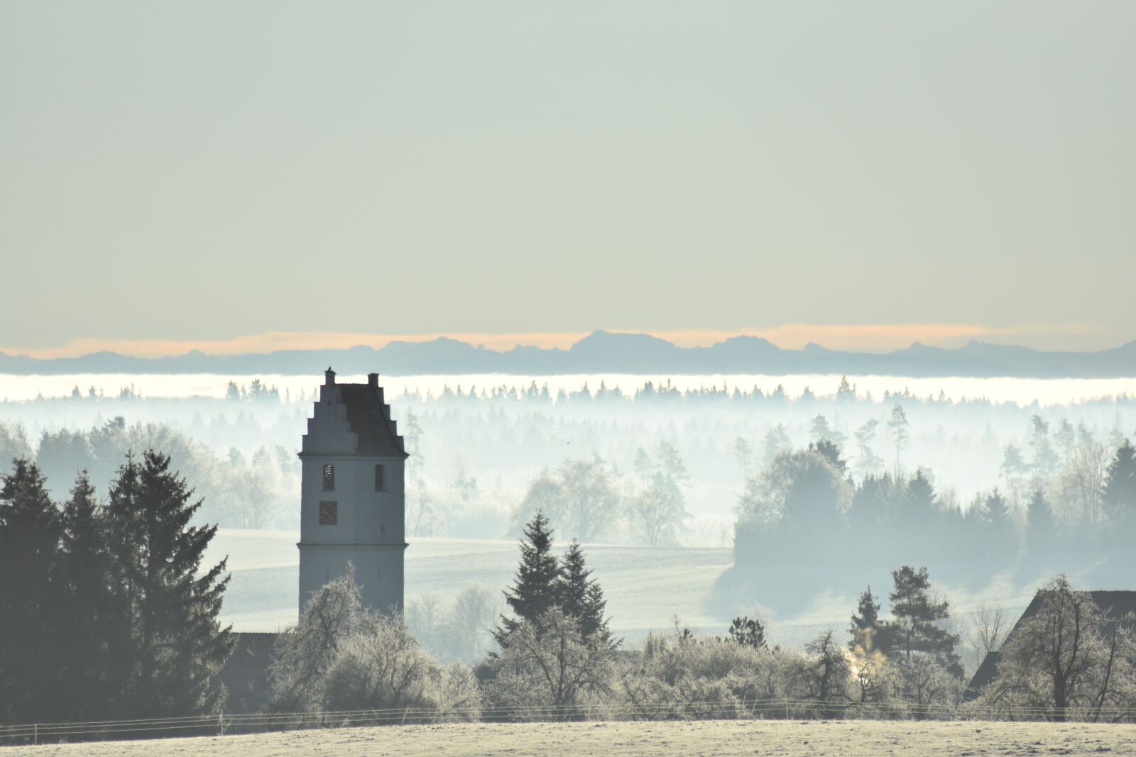 Nikon D3400 sample photo. Church, winter, fog photography