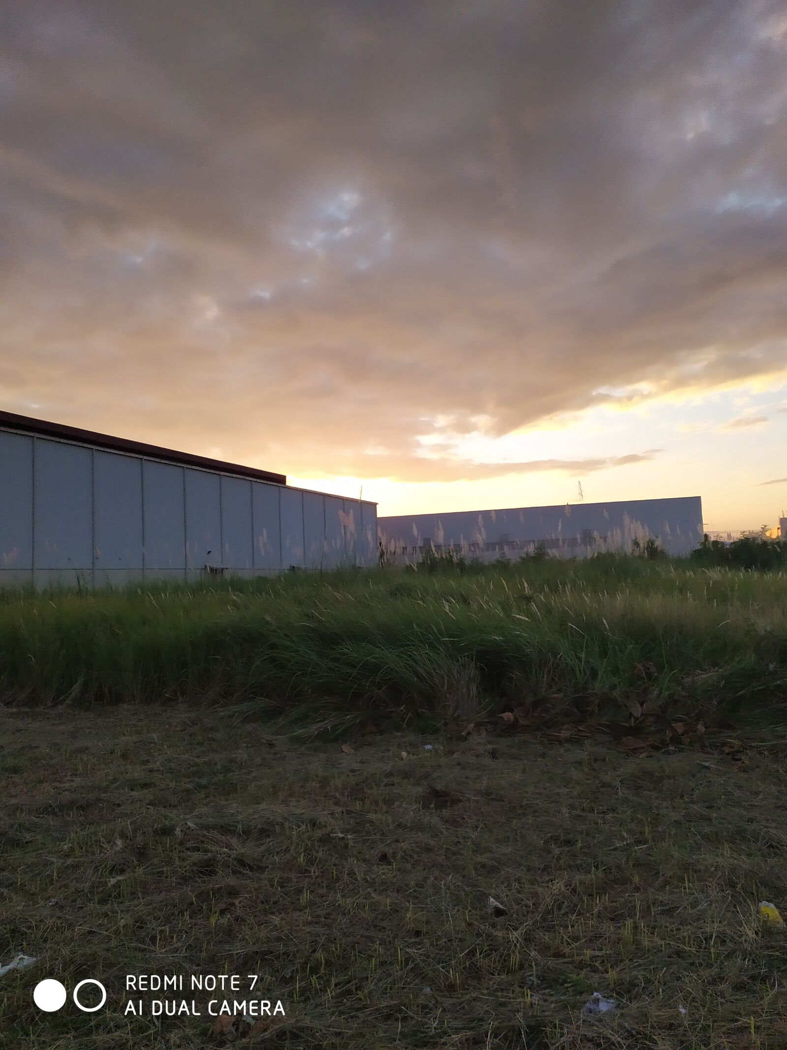 Xiaomi Redmi Note 7 sample photo. Goodmorning, nice, view photography