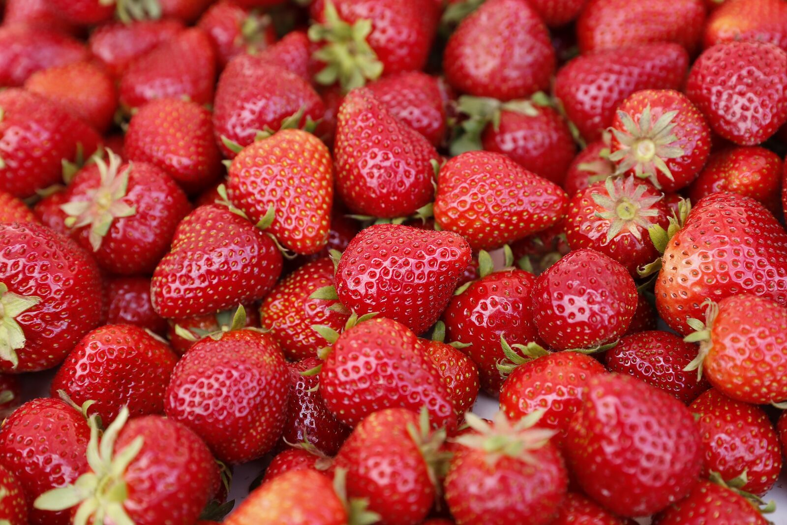 Canon EOS 6D sample photo. Strawberry, berry, tasty photography