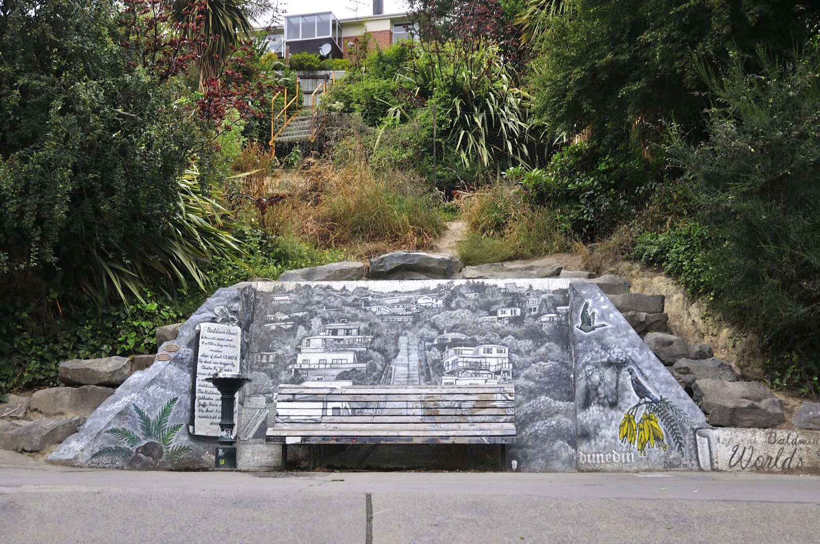 Nikon D90 sample photo. Road, street, baldwin street photography