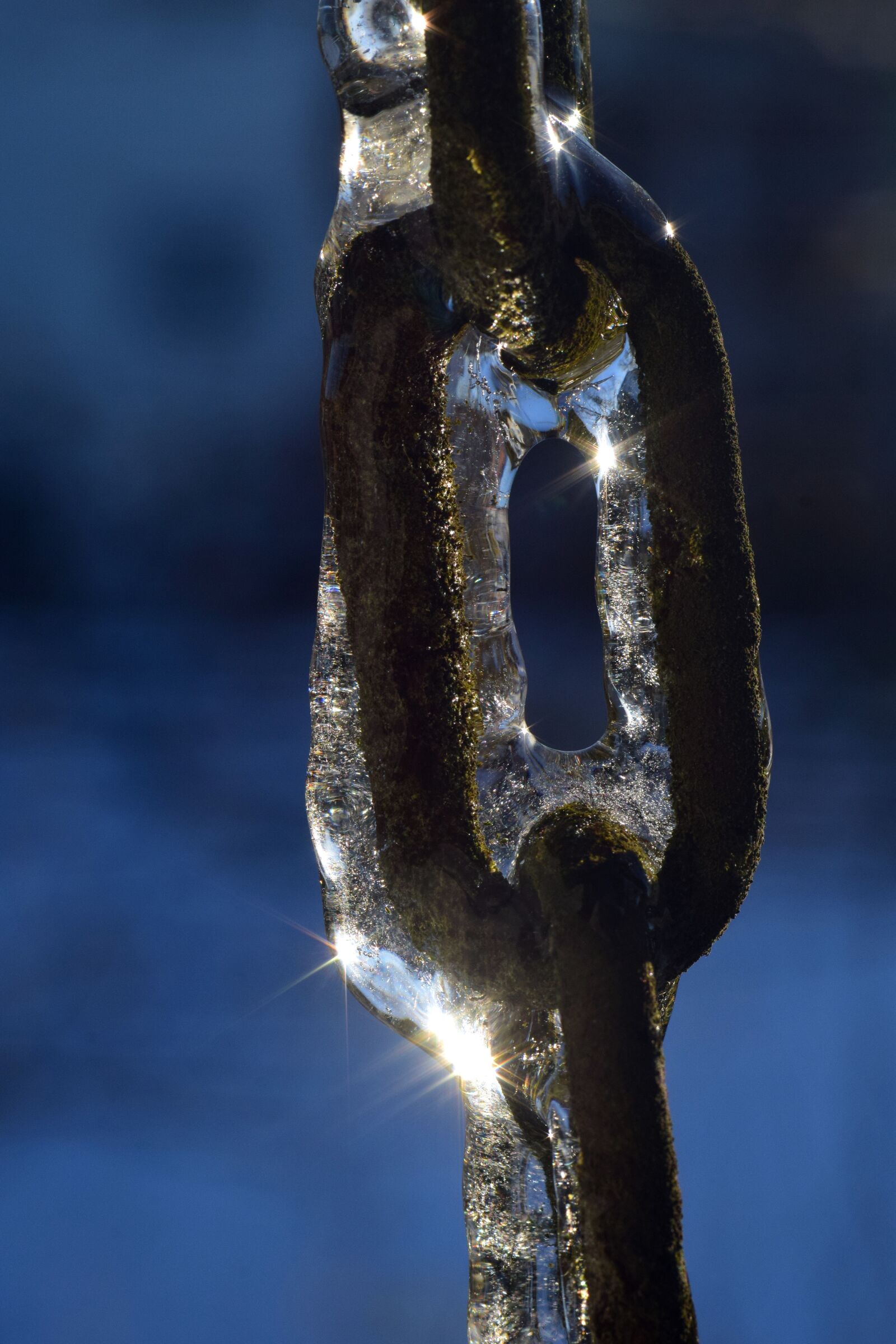 Nikon D3300 sample photo. Chain, chain link, ice photography